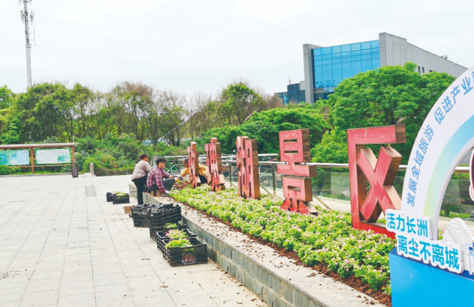 綠化美化公園景區