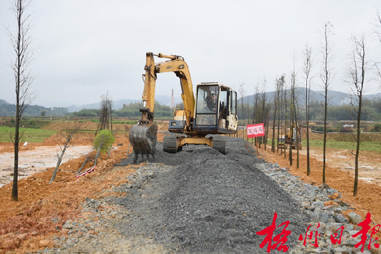 月12日，在萬秀區(qū)夏郢鎮(zhèn)，施工機(jī)械正鋪設(shè)道路沙石。     夏郢鎮(zhèn)依托思良江兩岸山水自然風(fēng)光，開發(fā)休閑農(nóng)業(yè)觀光項(xiàng)目。萬秀區(qū)政府與市直有關(guān)部門共同在該項(xiàng)目的油菜花基地修建一條沙石道路，既方便游客，又為村民生產(chǎn)勞動(dòng)提供便利。      孟亞西  攝   